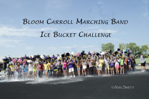 BCMB  ALS Ice Bucket
